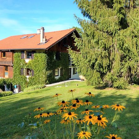 Domaine De L'Olifant Bed & Breakfast Champanges Eksteriør bilde
