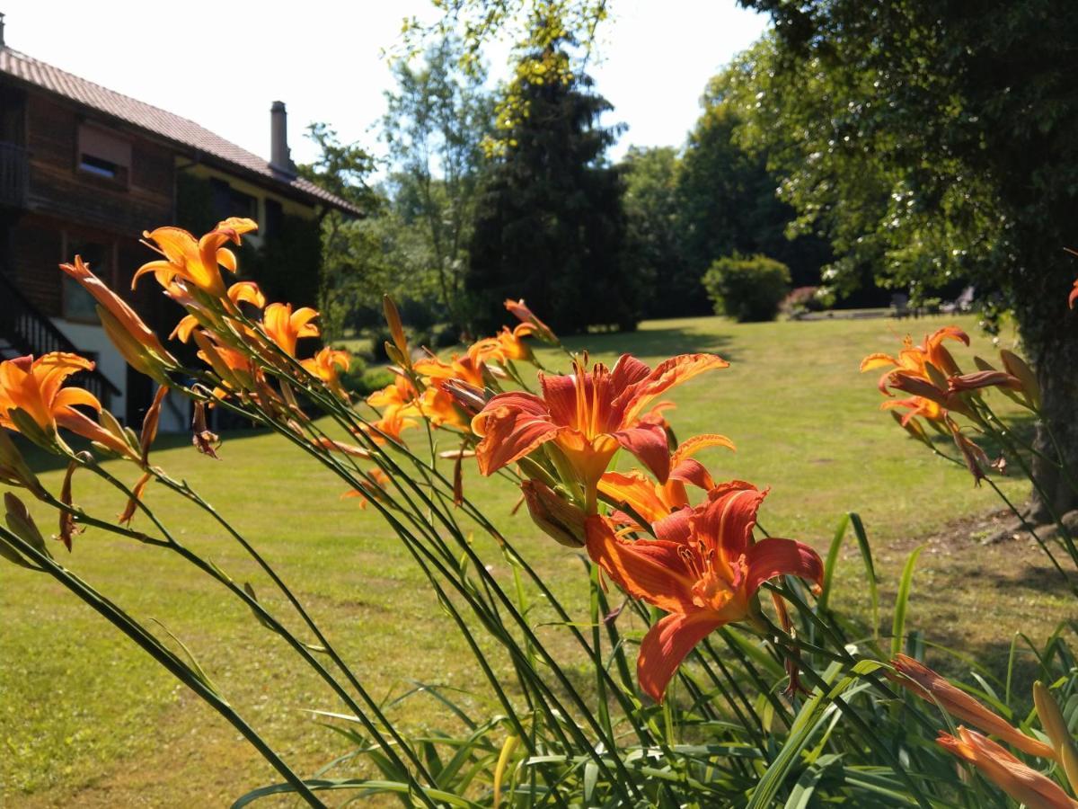 Domaine De L'Olifant Bed & Breakfast Champanges Eksteriør bilde