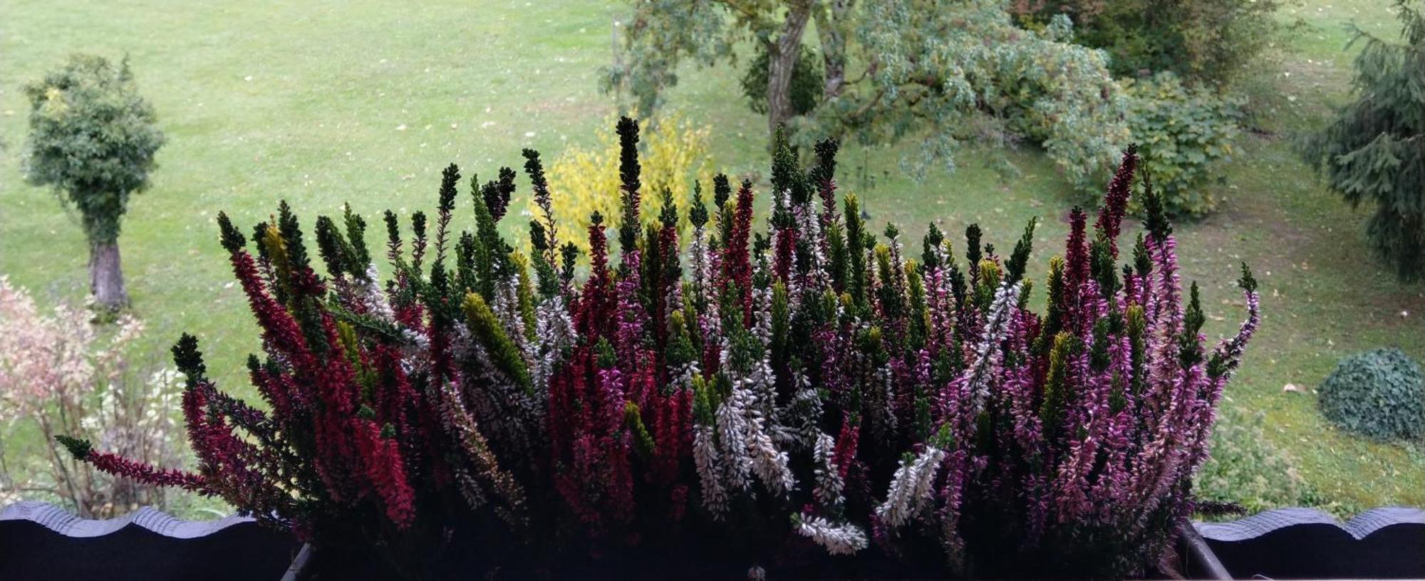 Domaine De L'Olifant Bed & Breakfast Champanges Eksteriør bilde