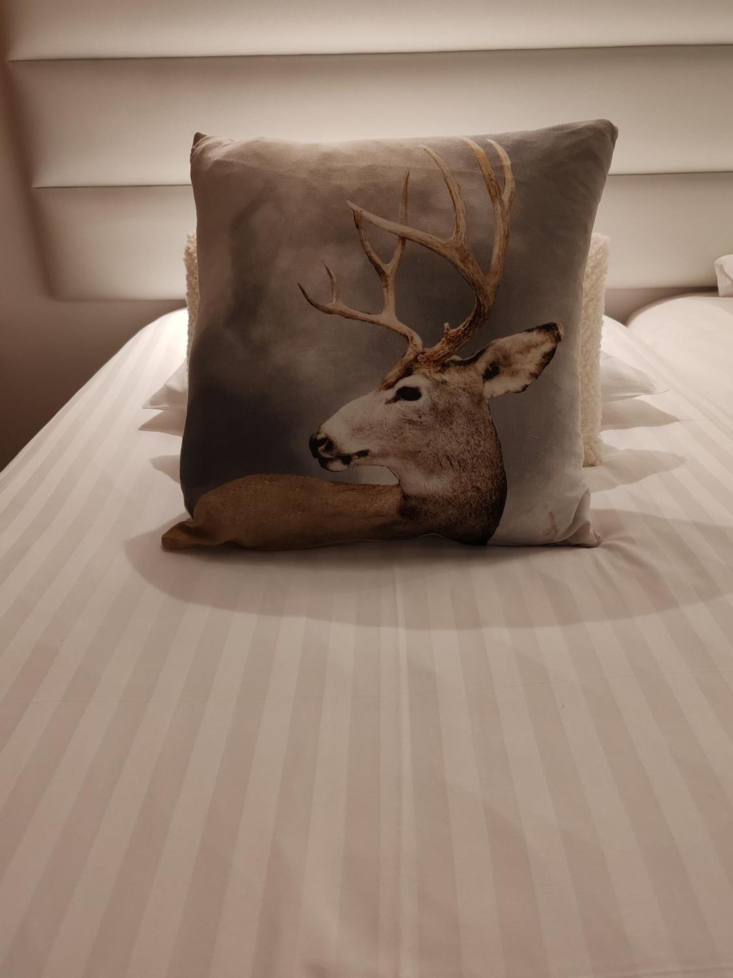 Domaine De L'Olifant Bed & Breakfast Champanges Rom bilde